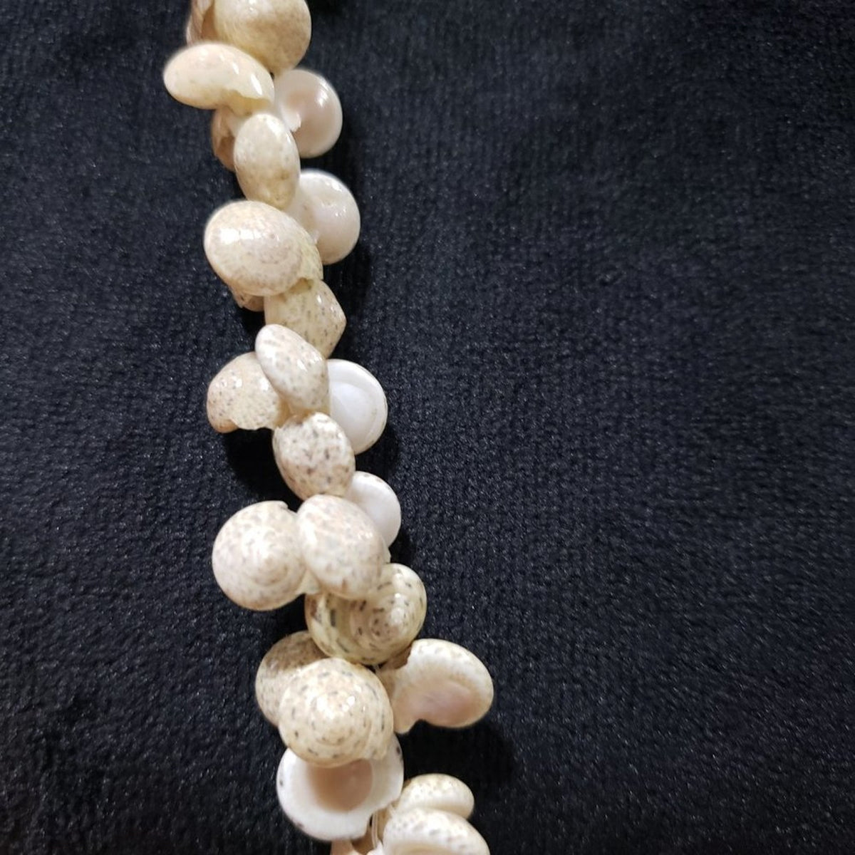 Women's Vintage Cowrie Shell Lei Genuine Cowrie Shells Necklace