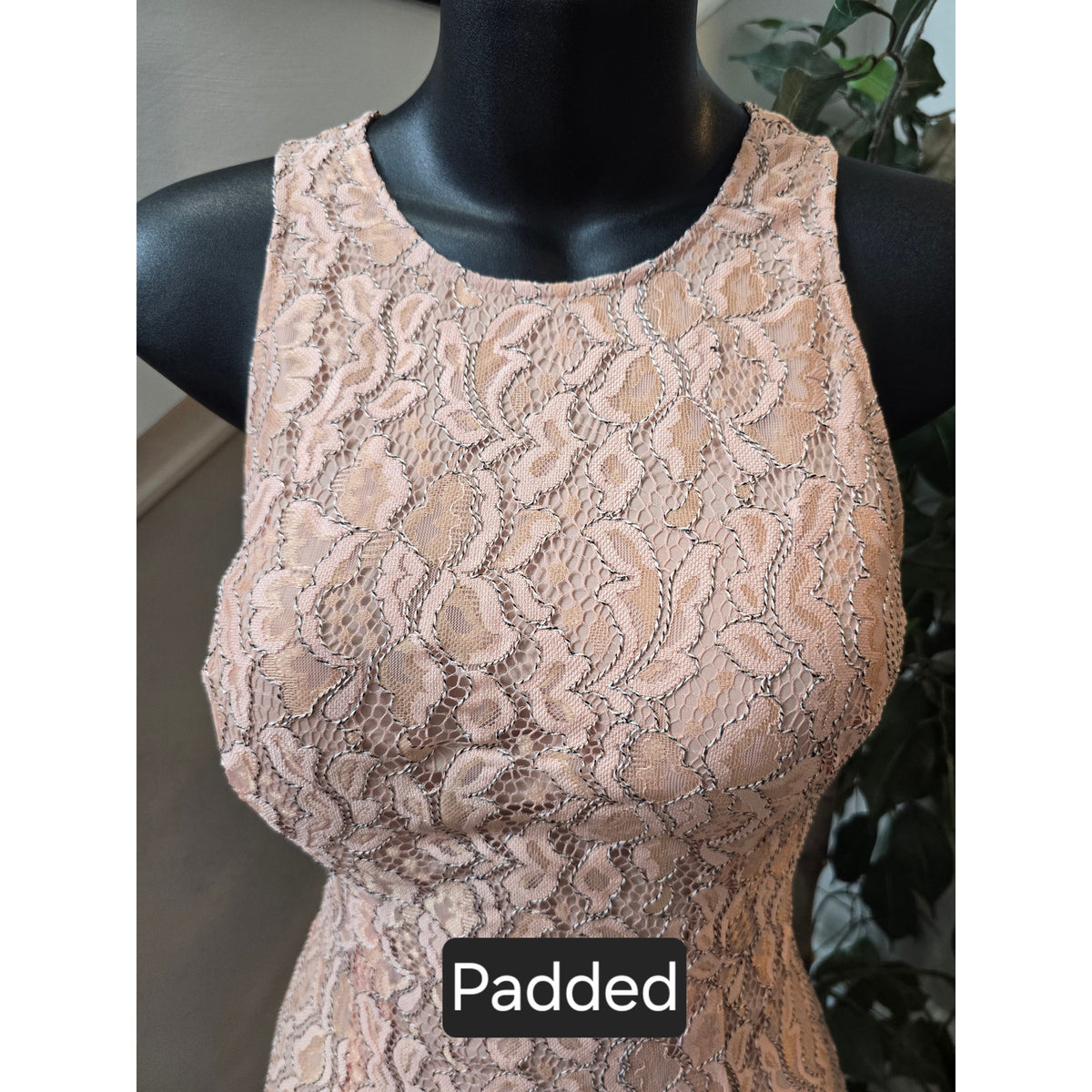 NBD Sheath Dress Women's SZ XS Pink Floral Lace Lined Fitted Padded Back Zipper