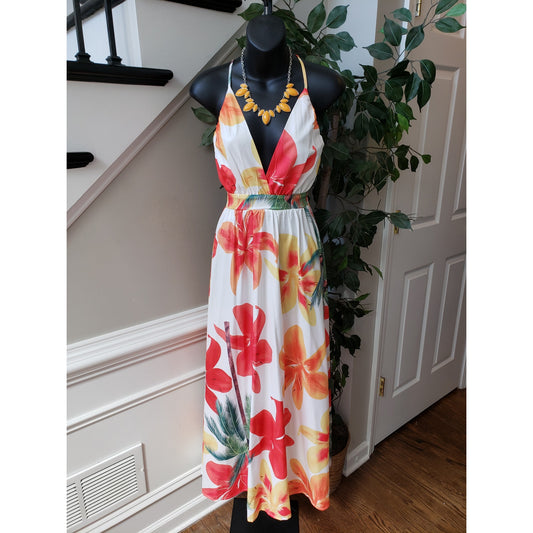 Long Maxi Dress Womens Small Multi Floral Print Back Zip Sleeveless Deep V Neck