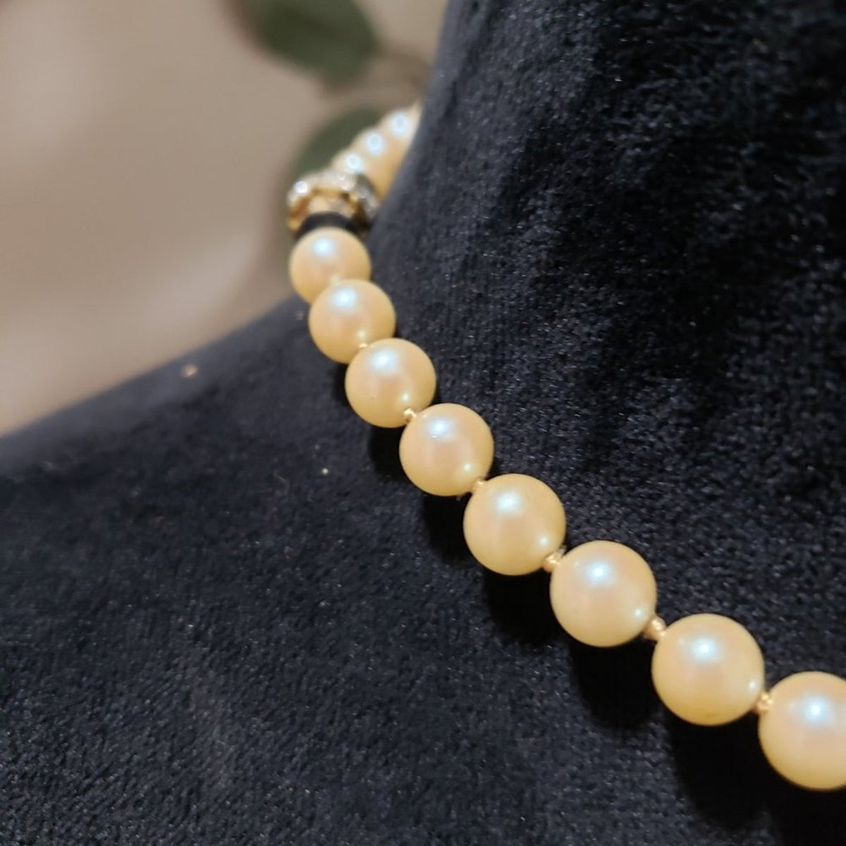 Womens Fashion Collier Pearls Faux Choker Necklace Jewelry Silver Filigree Clasp