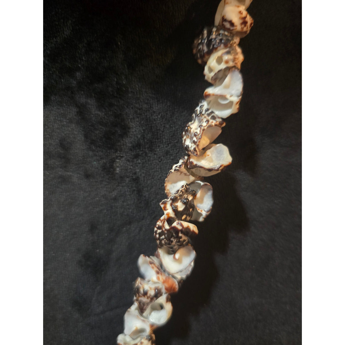 Women's Multi Strand Shell Beaded Statement Necklace With Lobster Clasp Closure