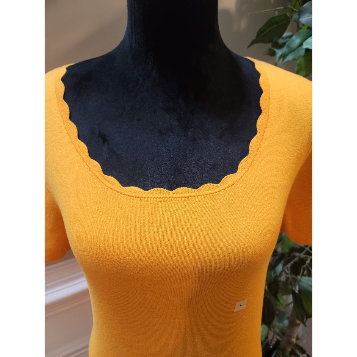 Ann Taylor Blouse Top Women's Large Yellow Scallop Trim Scoop Neck Short Sleeves