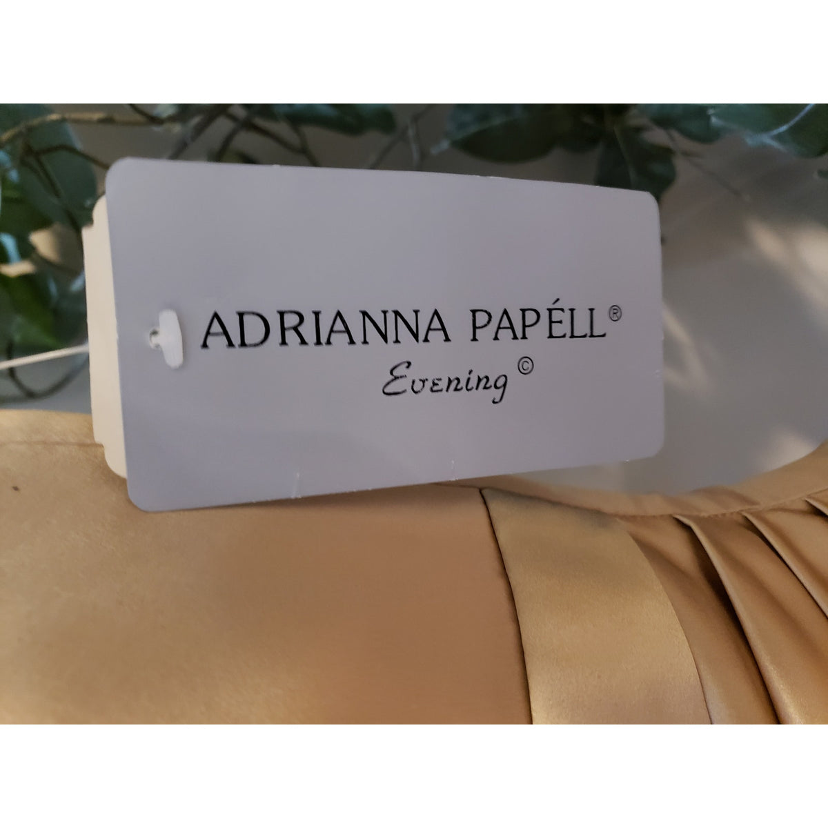 Adrianna Papell Evening Maxi Dress Women's 6 Beige Silk Beaded Floral Back Zip