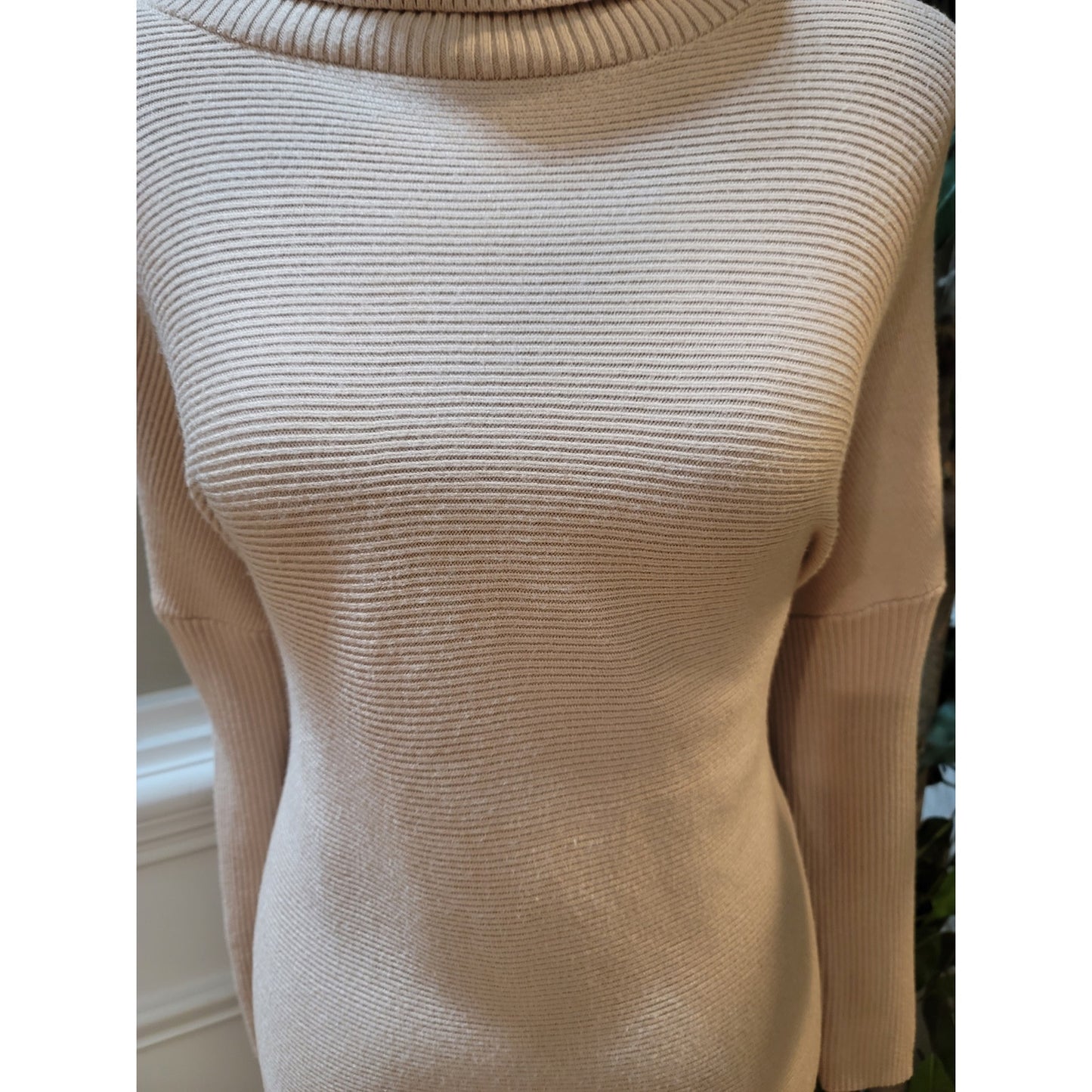 Lilly Scott Sweater Women's Medium Beige Long Sleeve Turtleneck Knit Tunic