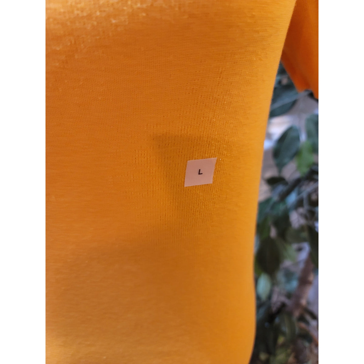 Ann Taylor Blouse Top Women's Large Yellow Scallop Trim Scoop Neck Short Sleeves