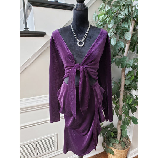 FTF Lab Knee Length Dress Women's 2X Purple Glitter Shimmer Long Sleeve Tie