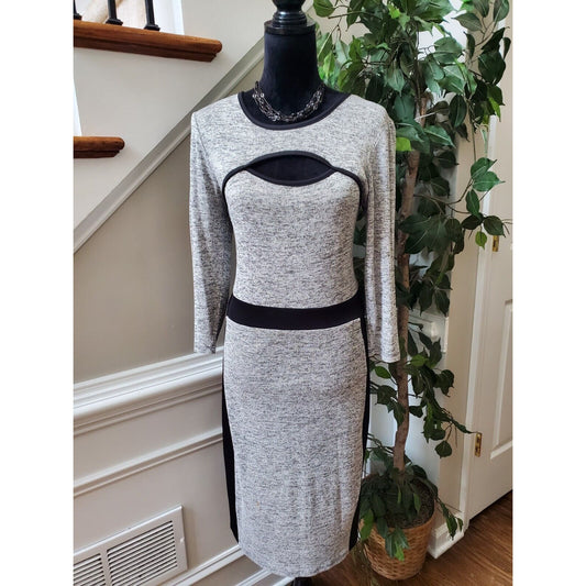 Women's Gray & Black Solid Rayon Round Neck Long Sleeve Knee Length Dress S