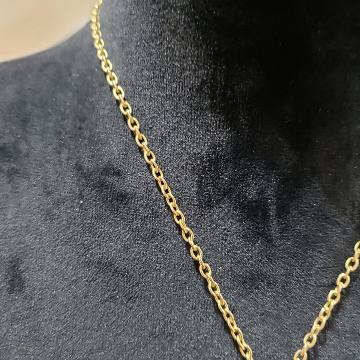 Madagascar Shell Teardrop Pendant Edged Gold Tone Monet Chain Necklace