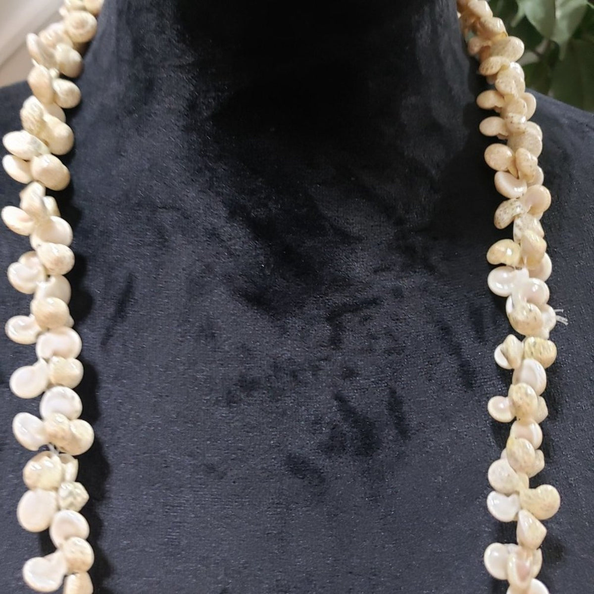 Women's Vintage Cowrie Shell Lei Genuine Cowrie Shells Necklace