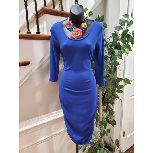 Express Women's Blue Cotton Round Neck Long Sleeve Bodycon Knee Length Dress S/P