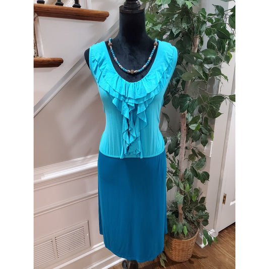 Merona Womens Blue Rayon Sleeveless Scoop Neck Ruffle Knee Length Dress Size 2XL
