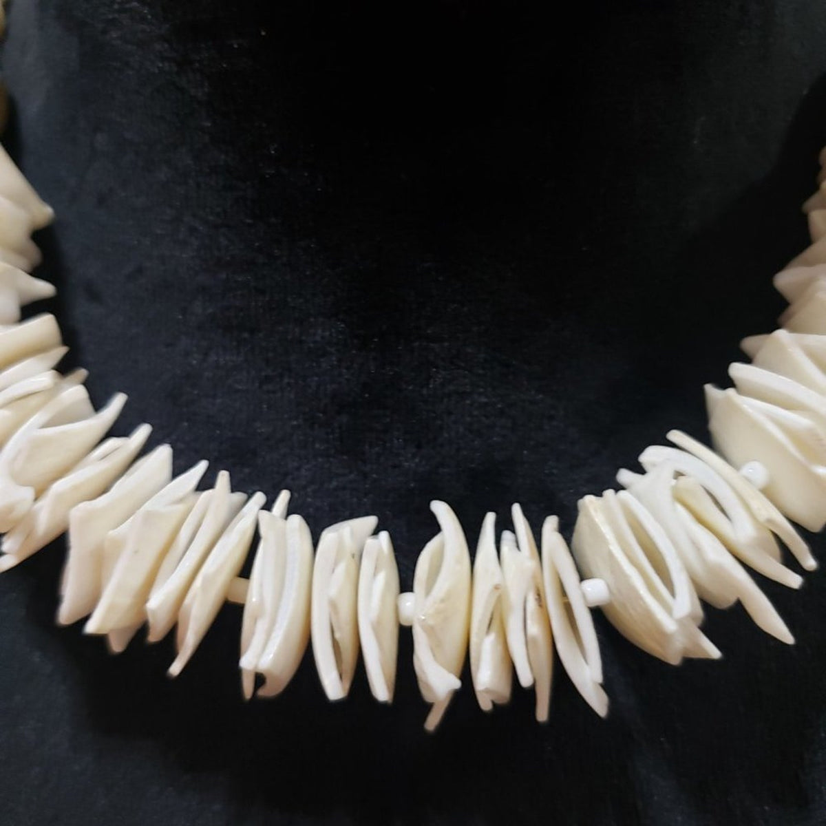 Womens Fashion White Shell Chip and Seed Beaded Choker Necklace w/ Lobster Clasp