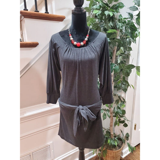 Banana Republic Women's Gray Lyocell Round Neck Long Sleeve Knee Length Dress M