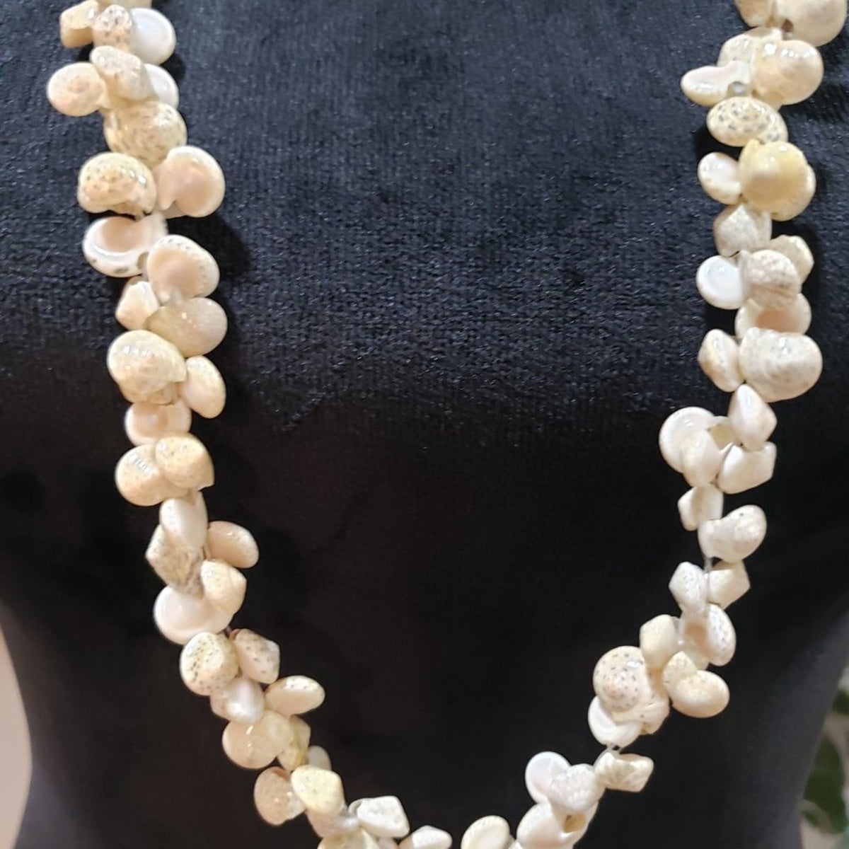 Women's Vintage Cowrie Shell Lei Genuine Cowrie Shells Necklace