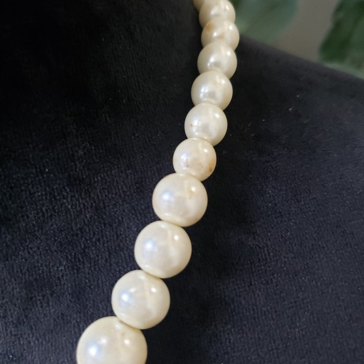 Women's Fashion Round Seashell Pearls Strand Collar Necklace with Lobster Clasp